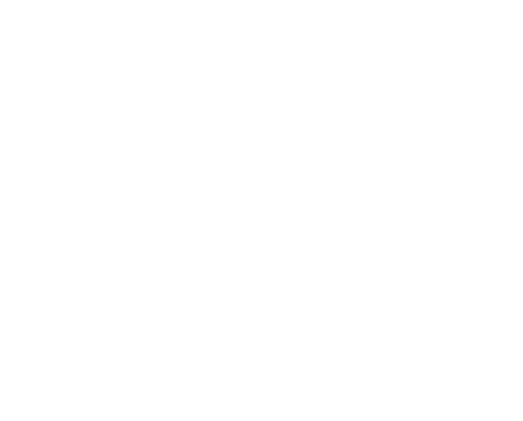 Reina del Sur